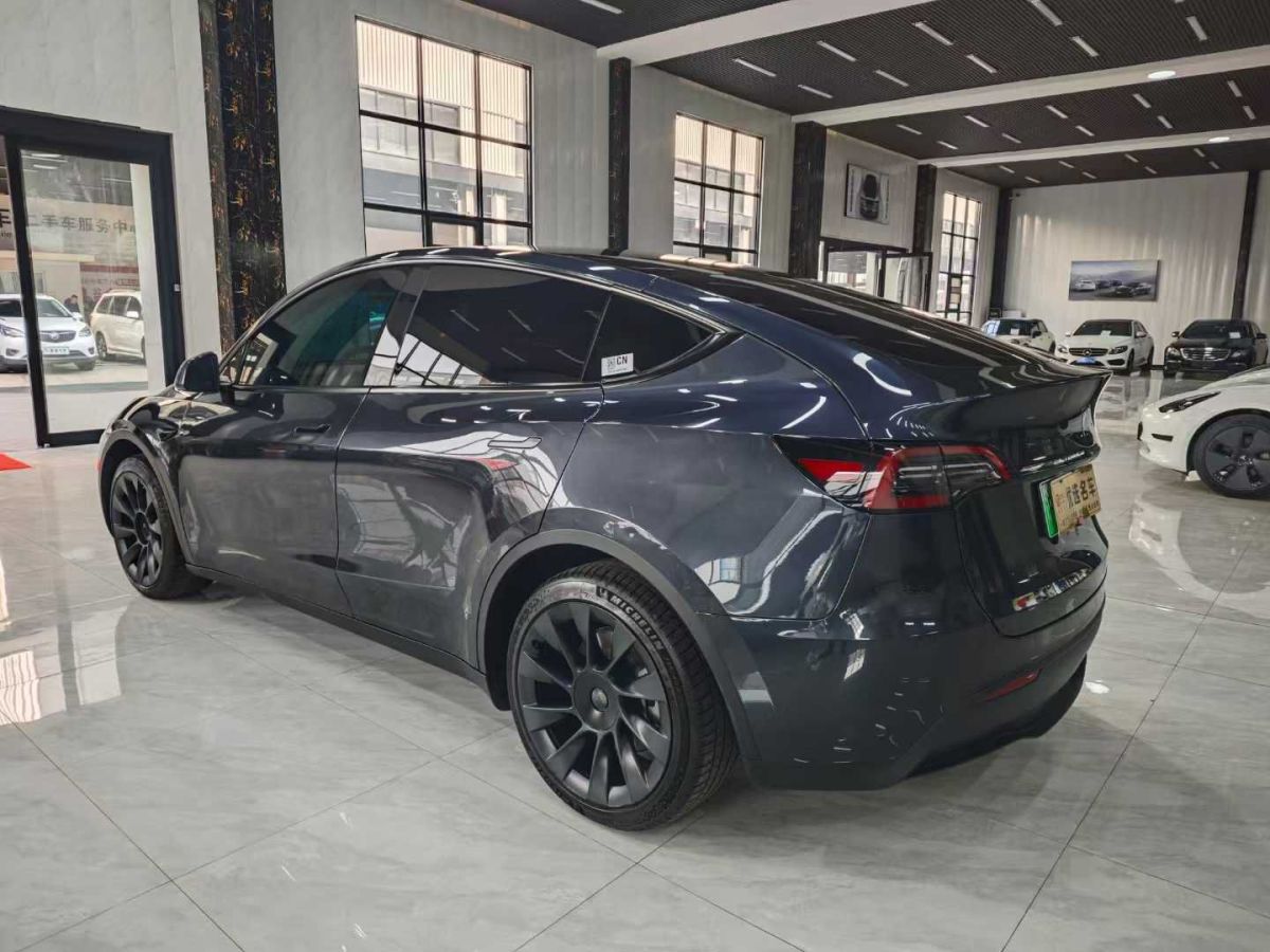 特斯拉 Model Y  2024款 Performance高性能版圖片