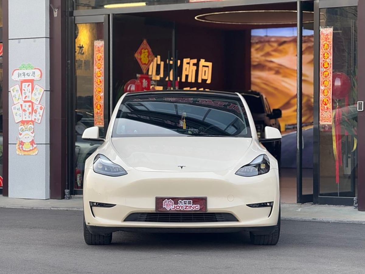 特斯拉 Model 3  2021款 改款 Performance高性能全輪驅(qū)動(dòng)版圖片