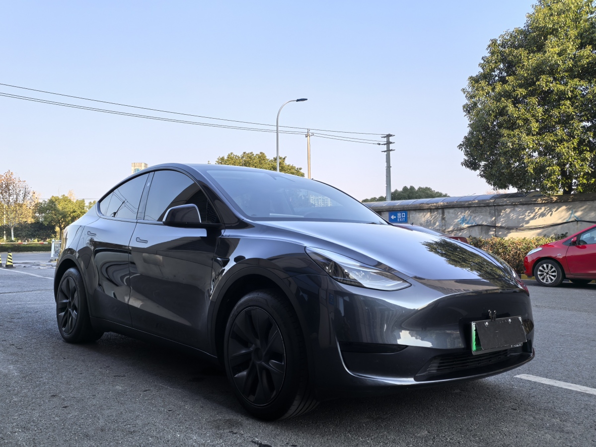 特斯拉 Model 3  2020款 改款 長續(xù)航后輪驅(qū)動版圖片