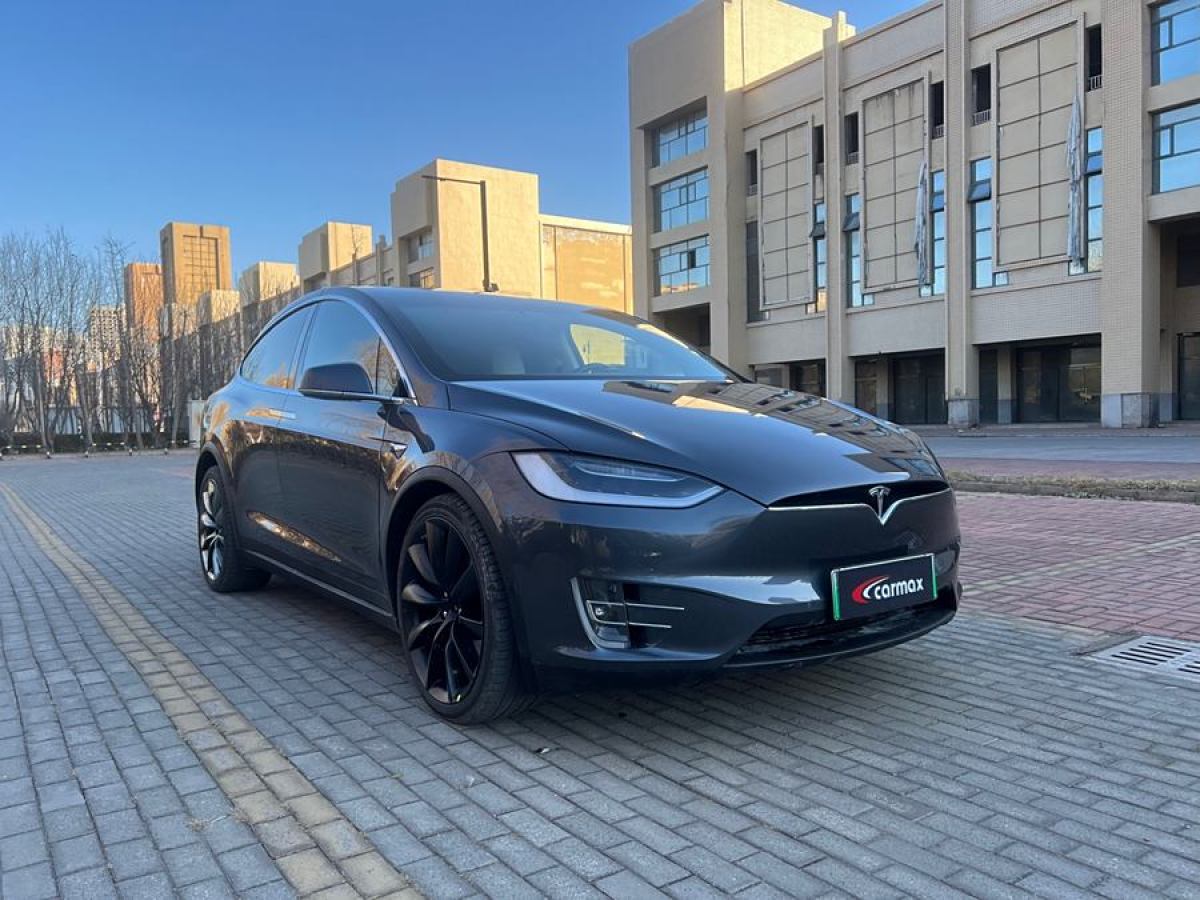 特斯拉 Model X  2017款 Model X 100D 長續(xù)航版圖片