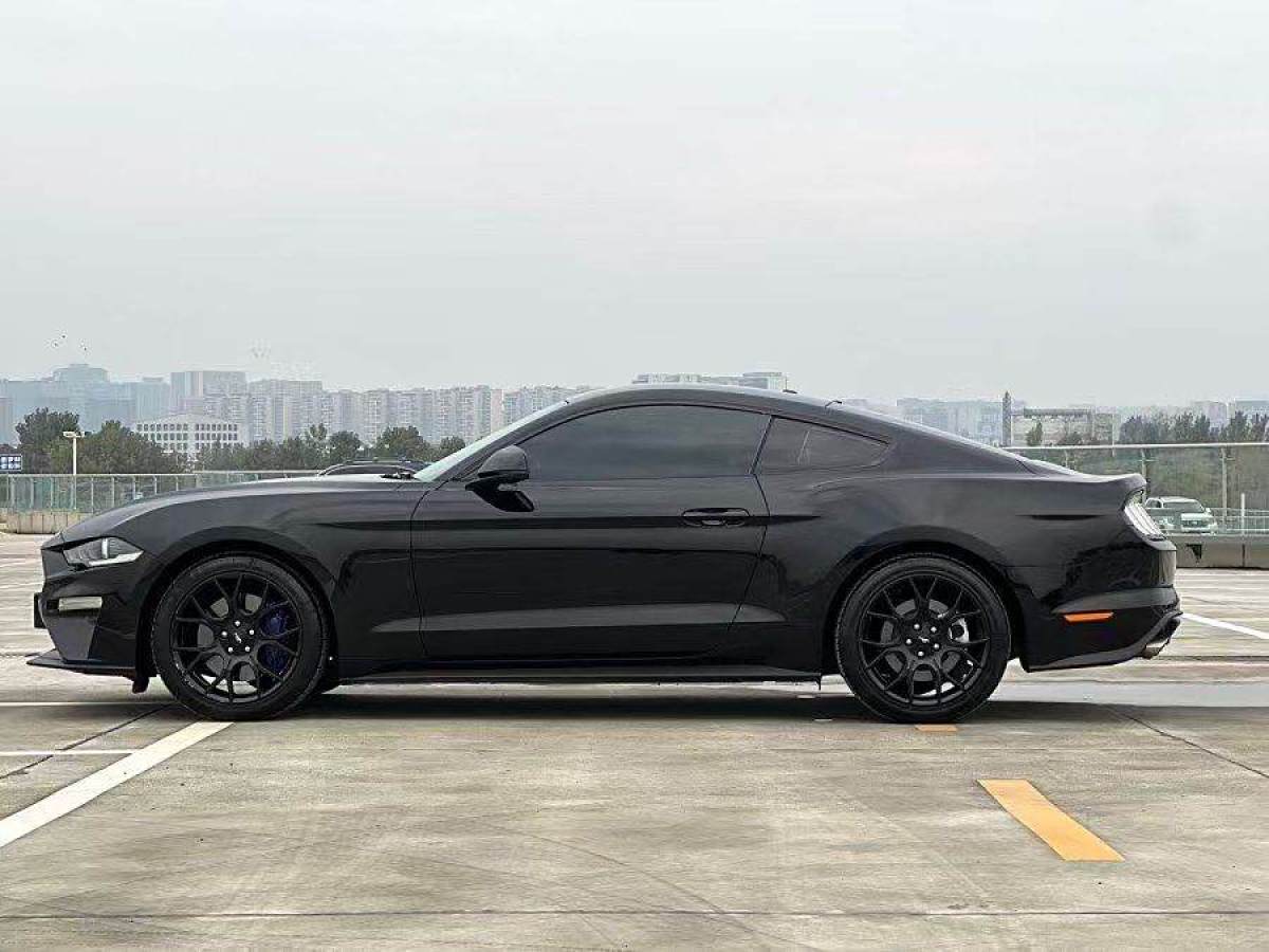 福特 Mustang  2019款 2.3L EcoBoost圖片