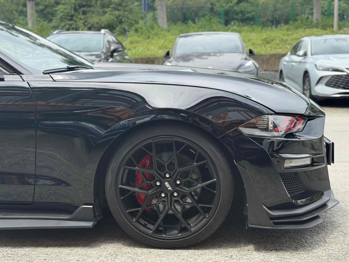 福特 Mustang  2019款 2.3L EcoBoost圖片