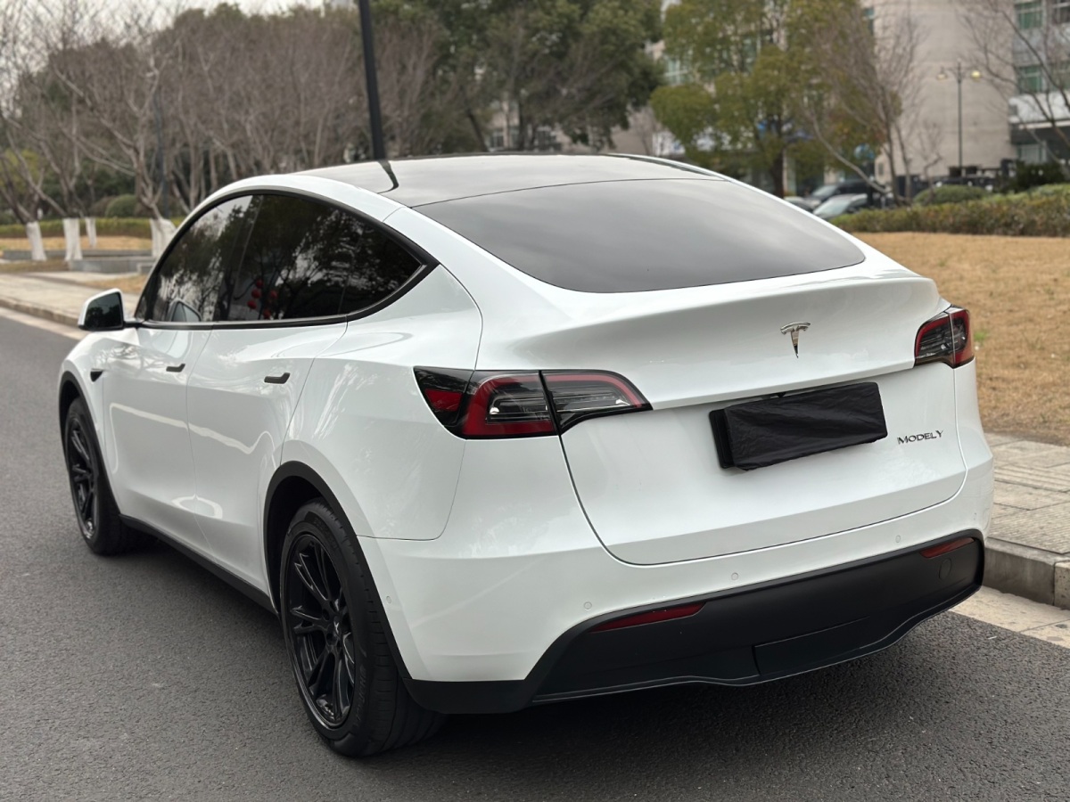 特斯拉 Model Y  2023款 后輪驅(qū)動(dòng)版圖片