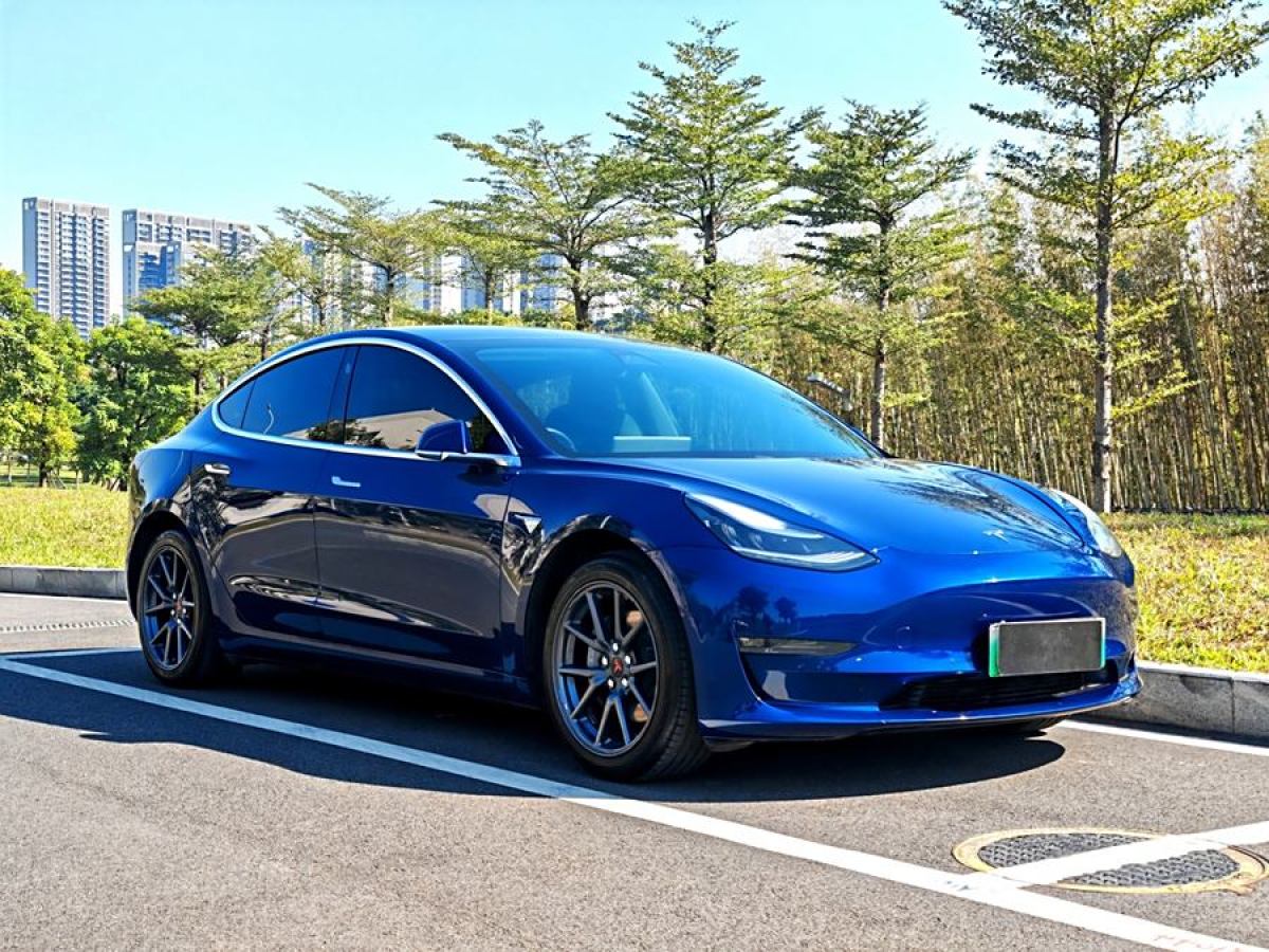 特斯拉 Model 3  2020款 改款 長續(xù)航后輪驅(qū)動版圖片