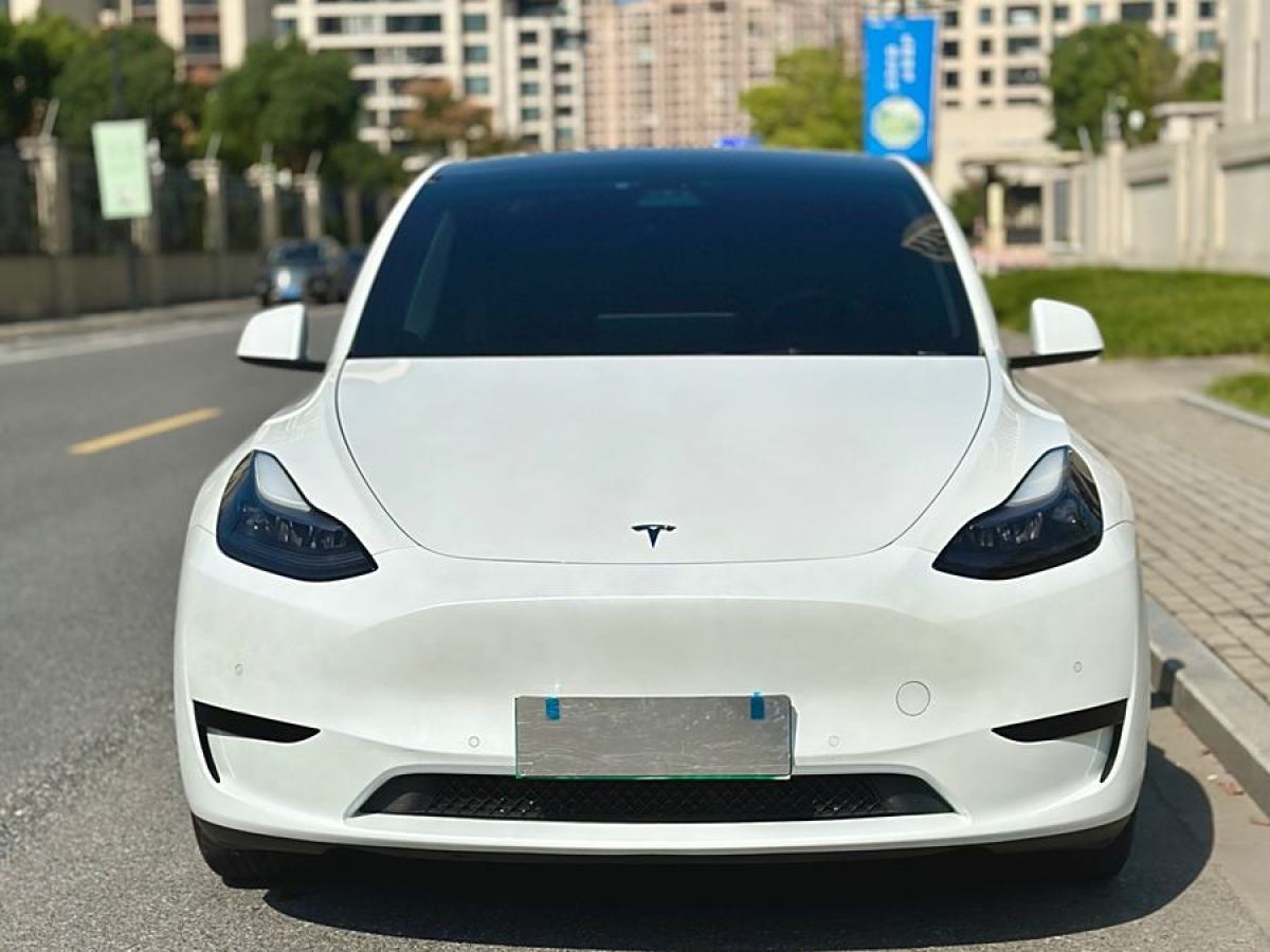 特斯拉 Model 3  2020款 改款 長(zhǎng)續(xù)航后輪驅(qū)動(dòng)版圖片