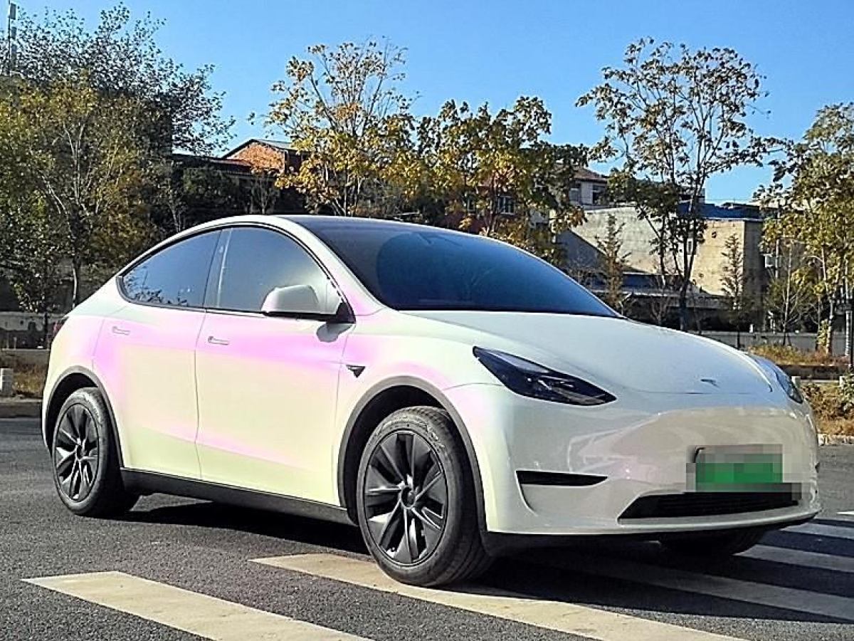 特斯拉 Model Y  2020款 改款 長(zhǎng)續(xù)航后輪驅(qū)動(dòng)版圖片