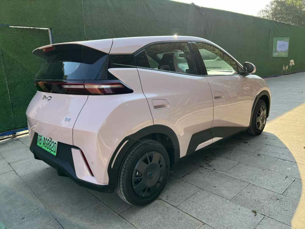 比亞迪 宋L DM-i  2024款 112km 超越型圖片