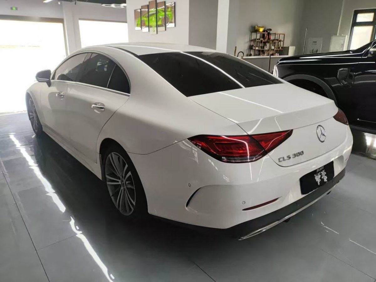 奔馳 奔馳CLS級(jí)  2023款 改款 CLS 300 豪華型圖片