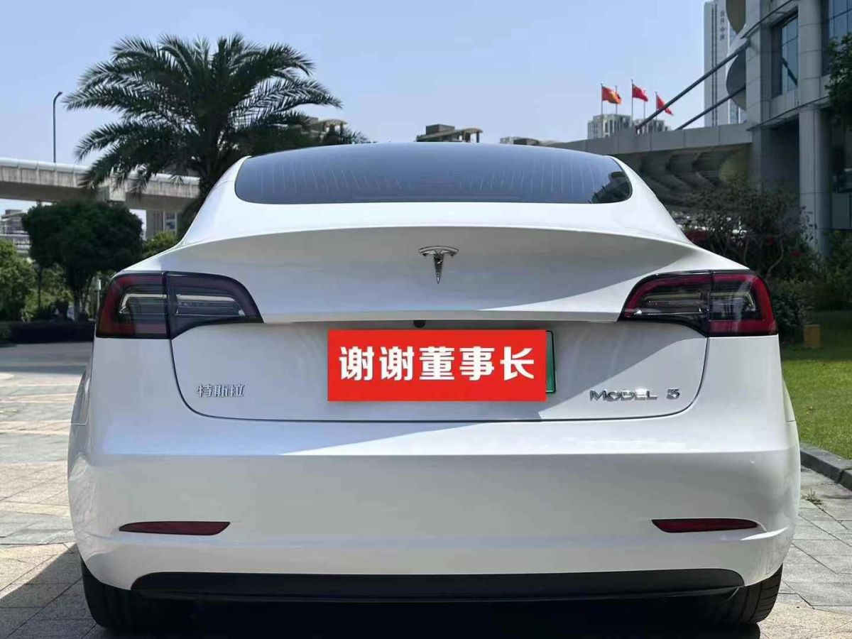 特斯拉 Model X  2020款 Performance 高性能版圖片