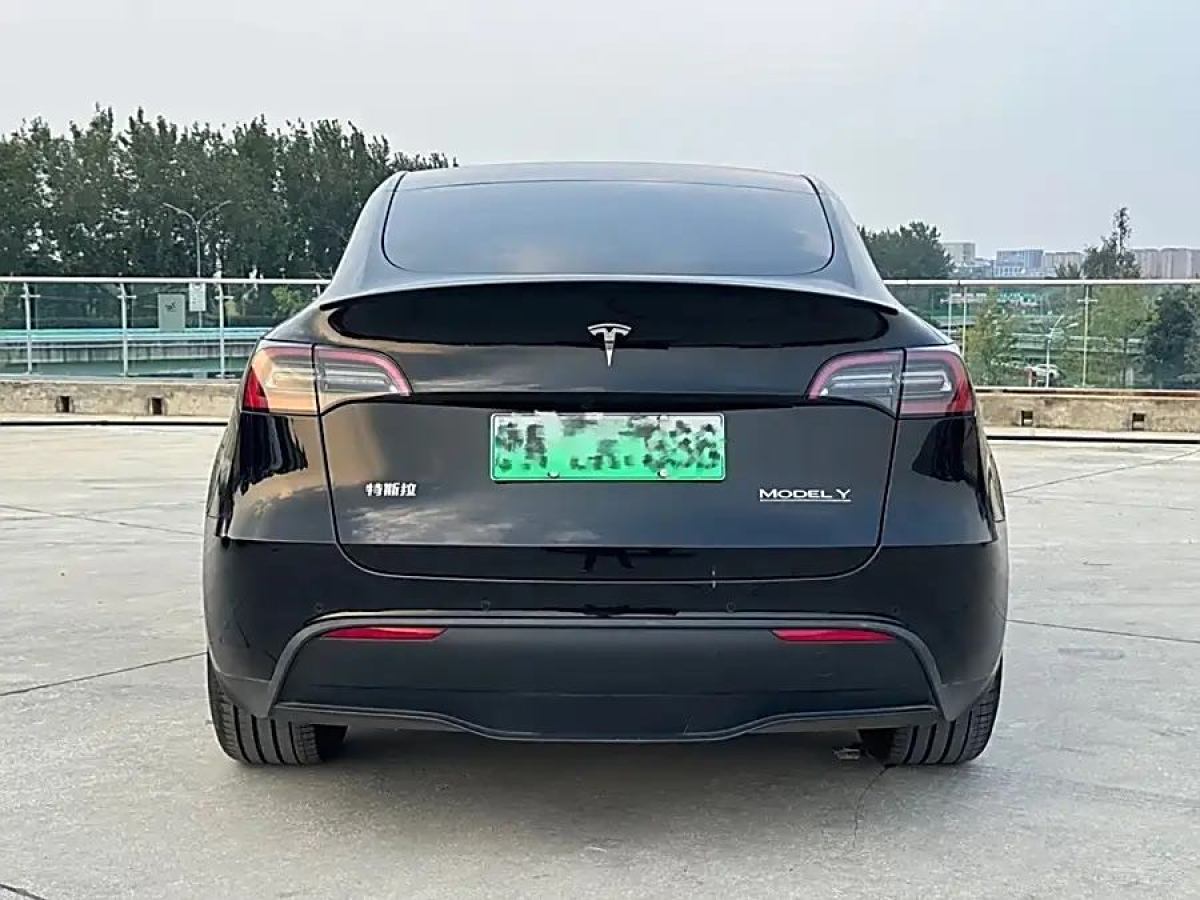 特斯拉 Model Y  2021款 改款 Performance高性能全輪驅(qū)動版圖片