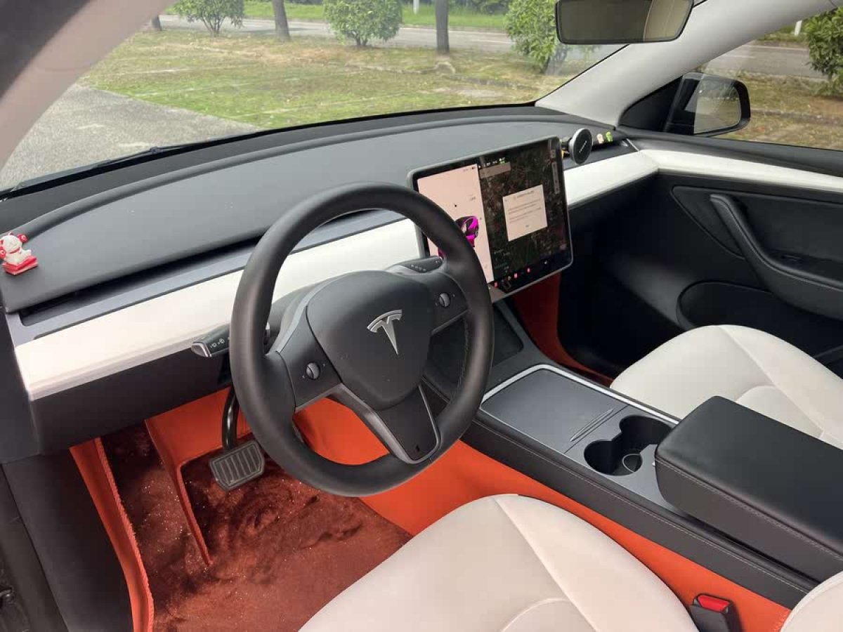 特斯拉 Model Y  2021款 標準續(xù)航后驅版圖片