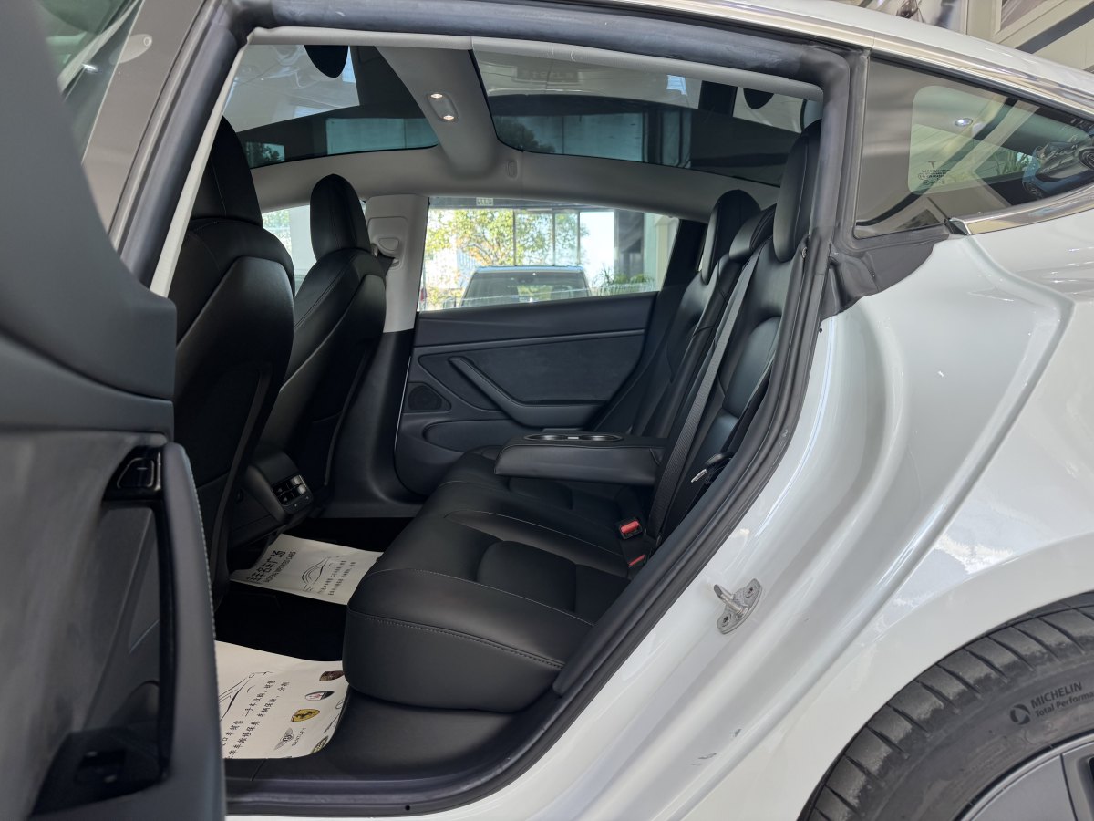 特斯拉 Model 3  2019款 標(biāo)準(zhǔn)續(xù)航后驅(qū)升級版圖片