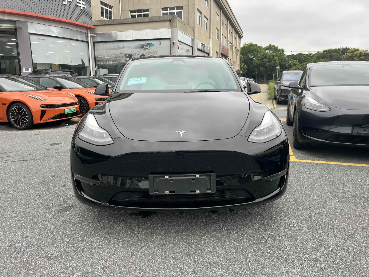 特斯拉 Model Y  2021款 改款 Performance高性能全輪驅(qū)動(dòng)版圖片