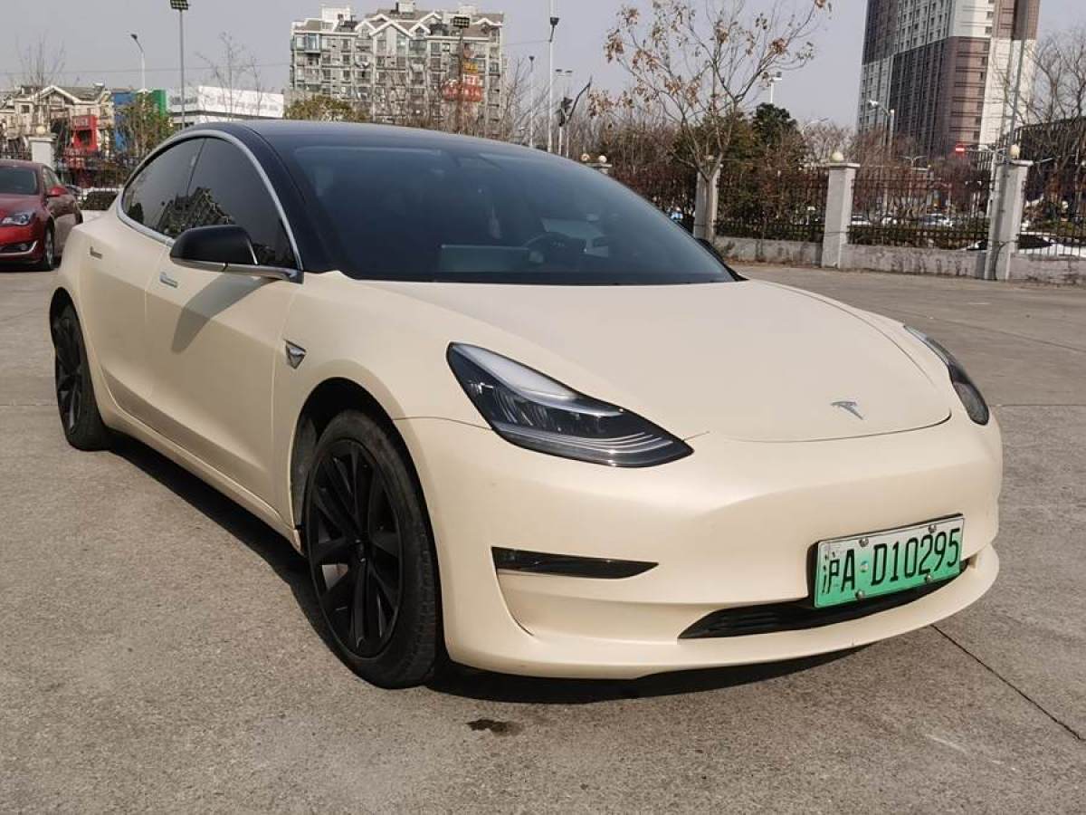 特斯拉 Model 3  2019款 長(zhǎng)續(xù)航后驅(qū)版圖片