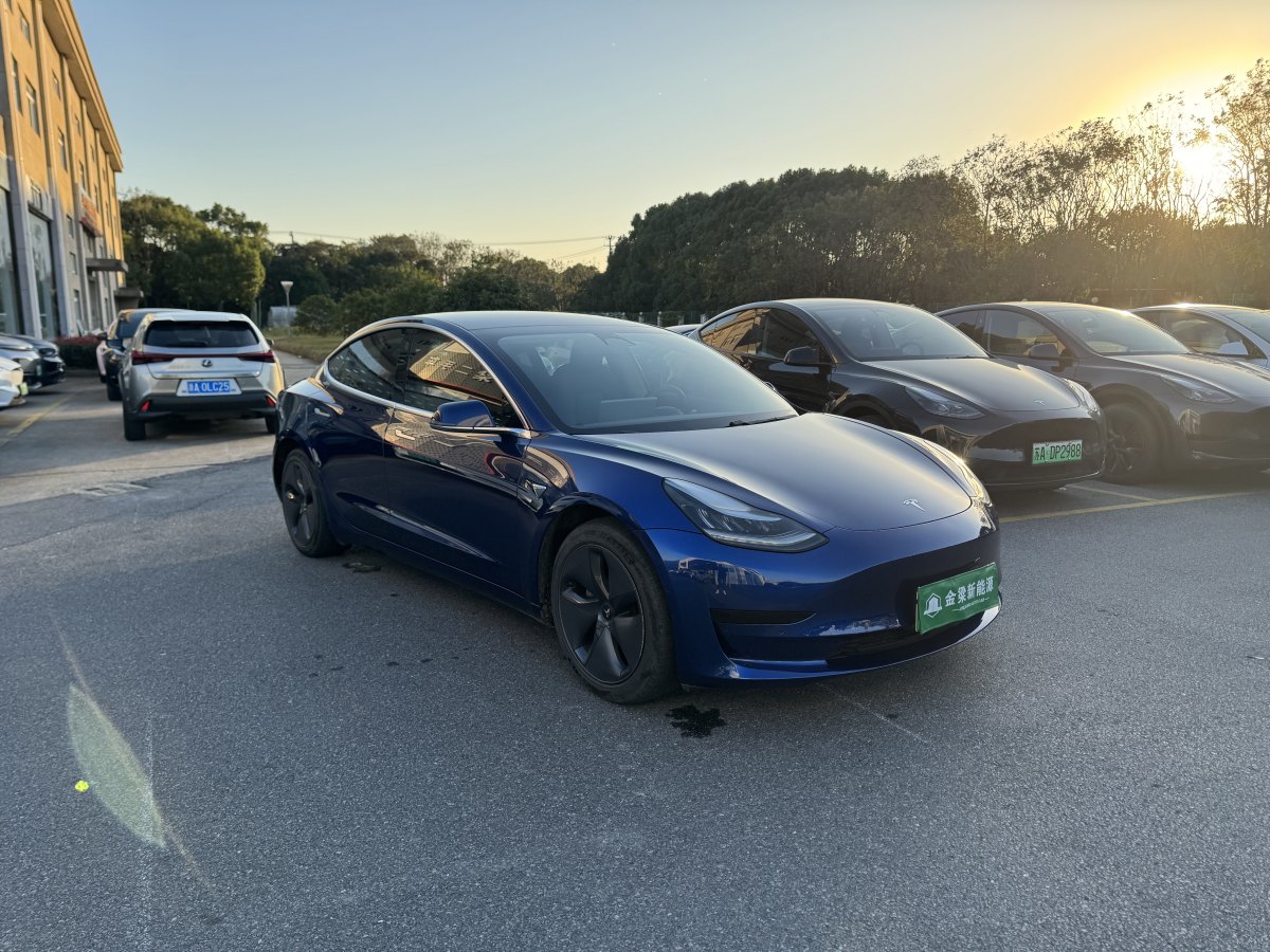 特斯拉 Model 3  2019款 標(biāo)準(zhǔn)續(xù)航后驅(qū)升級版圖片