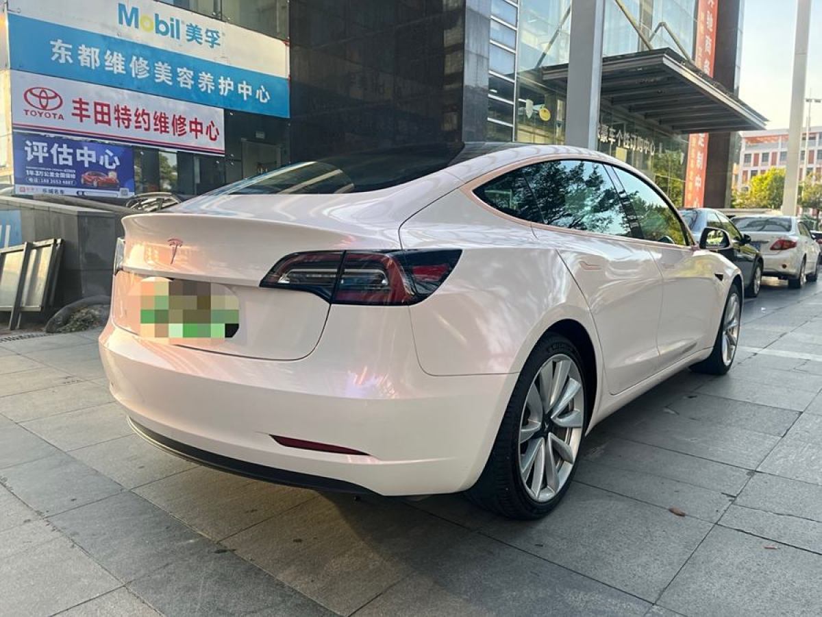 特斯拉 Model 3  2021款 改款 標(biāo)準(zhǔn)續(xù)航后驅(qū)升級版圖片