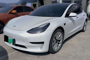 Model 3 特斯拉 后輪驅(qū)動版