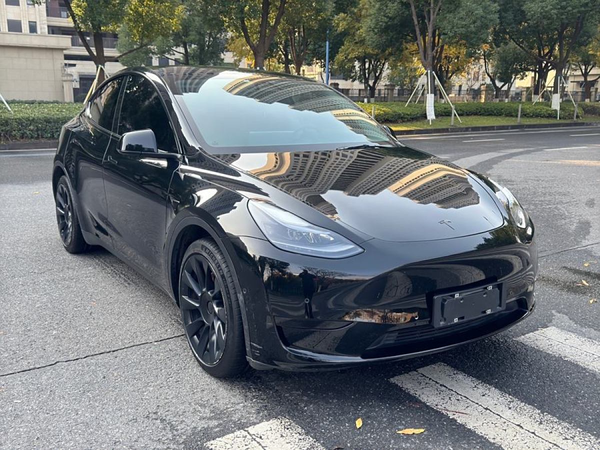 特斯拉 Model 3  2022款 后輪驅(qū)動版圖片