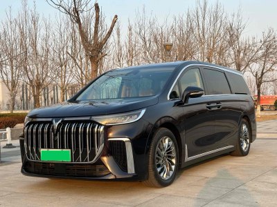 2023年10月 嵐圖 夢(mèng)想家 PHEV 超長(zhǎng)續(xù)航旗艦版圖片