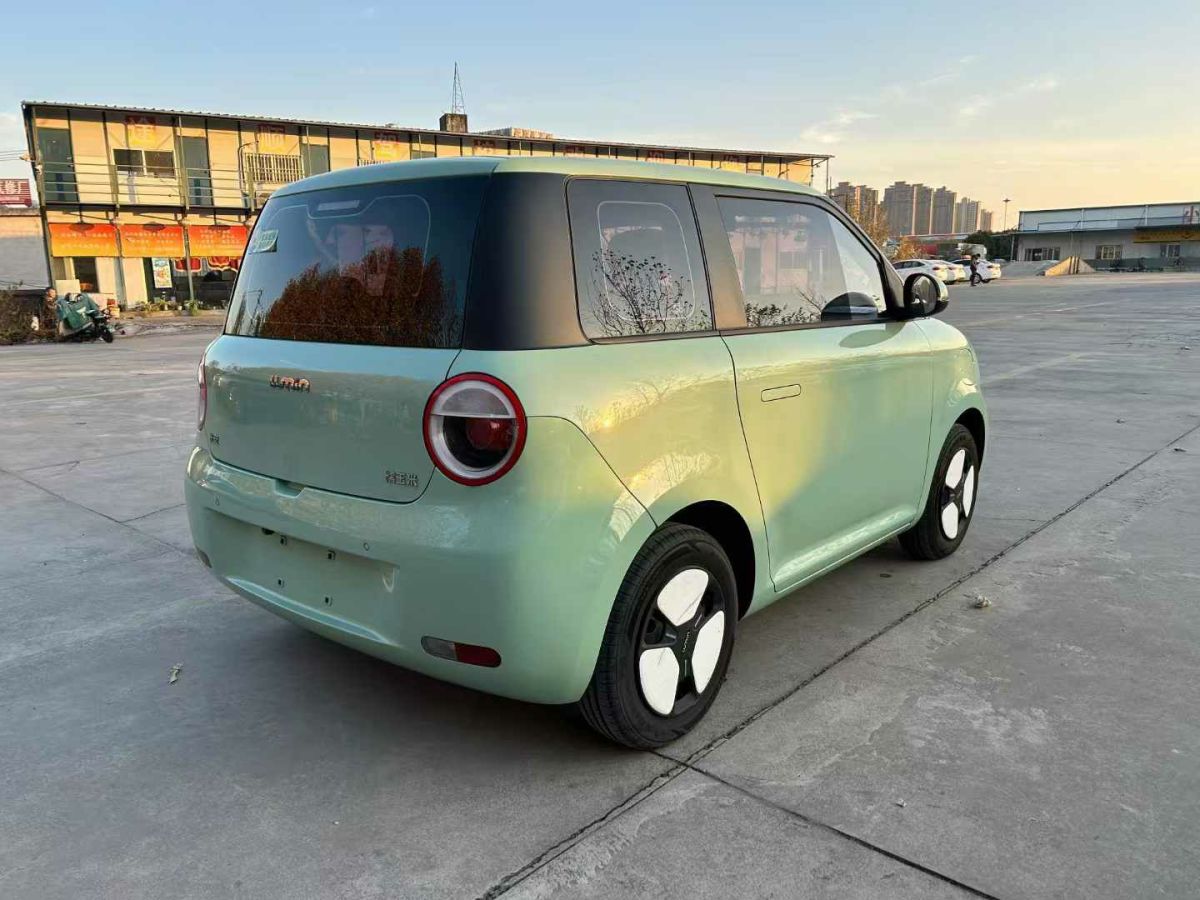 長(zhǎng)安跨越 新豹T3 EV  2024款 單排豪華版 倉柵車圖片