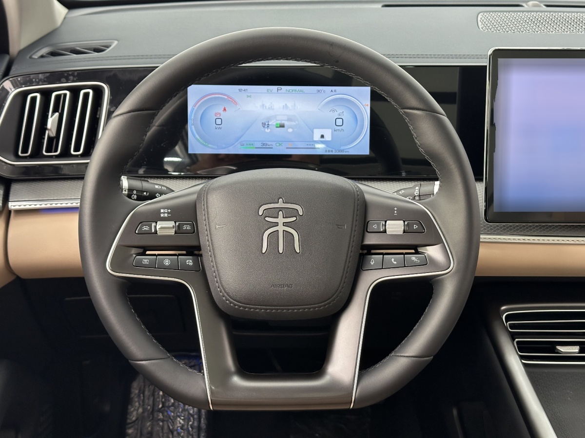 比亞迪 宋Pro新能源  2025款 DM-i 115KM超越型圖片
