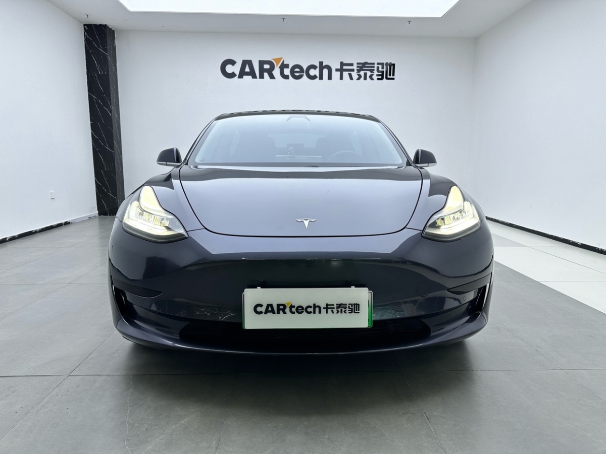 特斯拉 Model 3 2019款 標(biāo)準(zhǔn)續(xù)航后驅(qū)升級(jí)版圖片