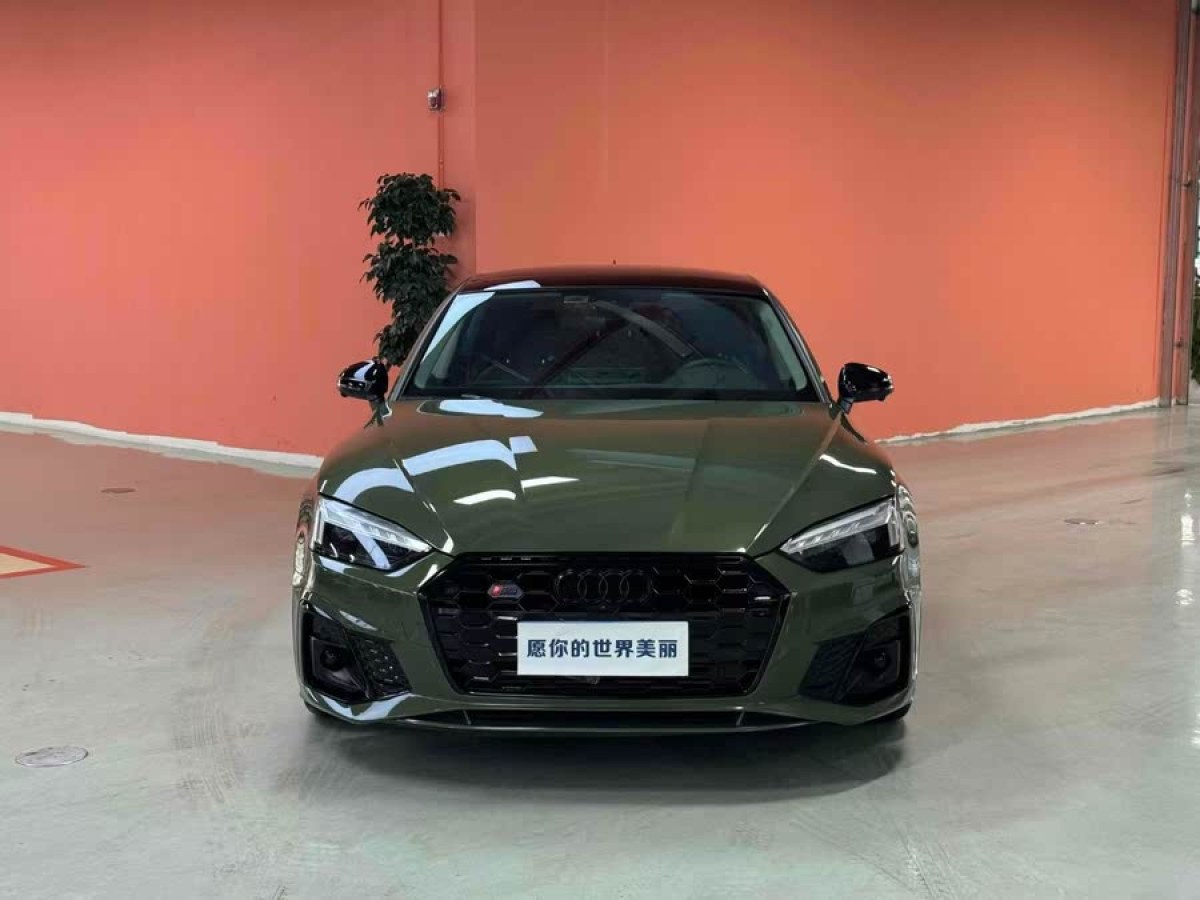 奧迪 奧迪A5  2023款 Sportback 40 TFSI quattro 豪華動(dòng)感型圖片