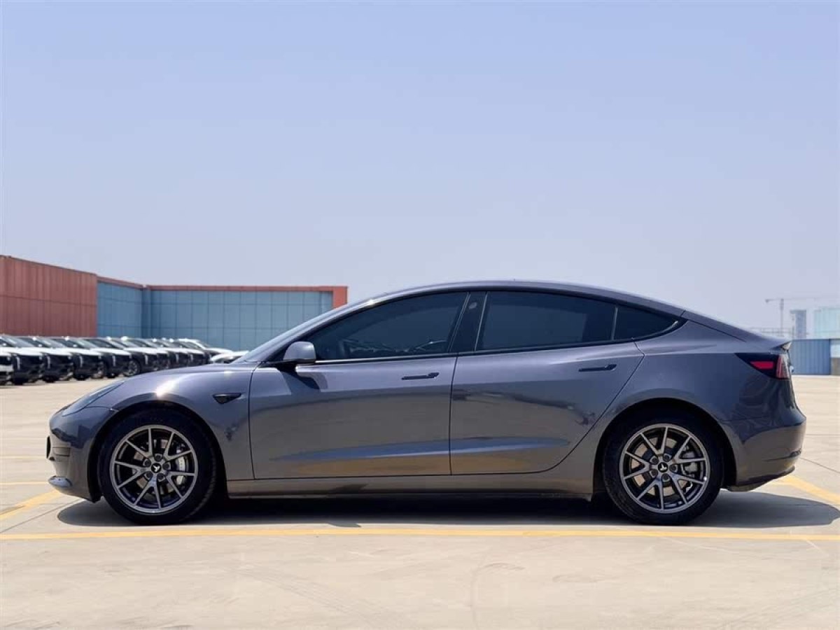 特斯拉 Model 3  2022款 后輪驅(qū)動(dòng)版圖片