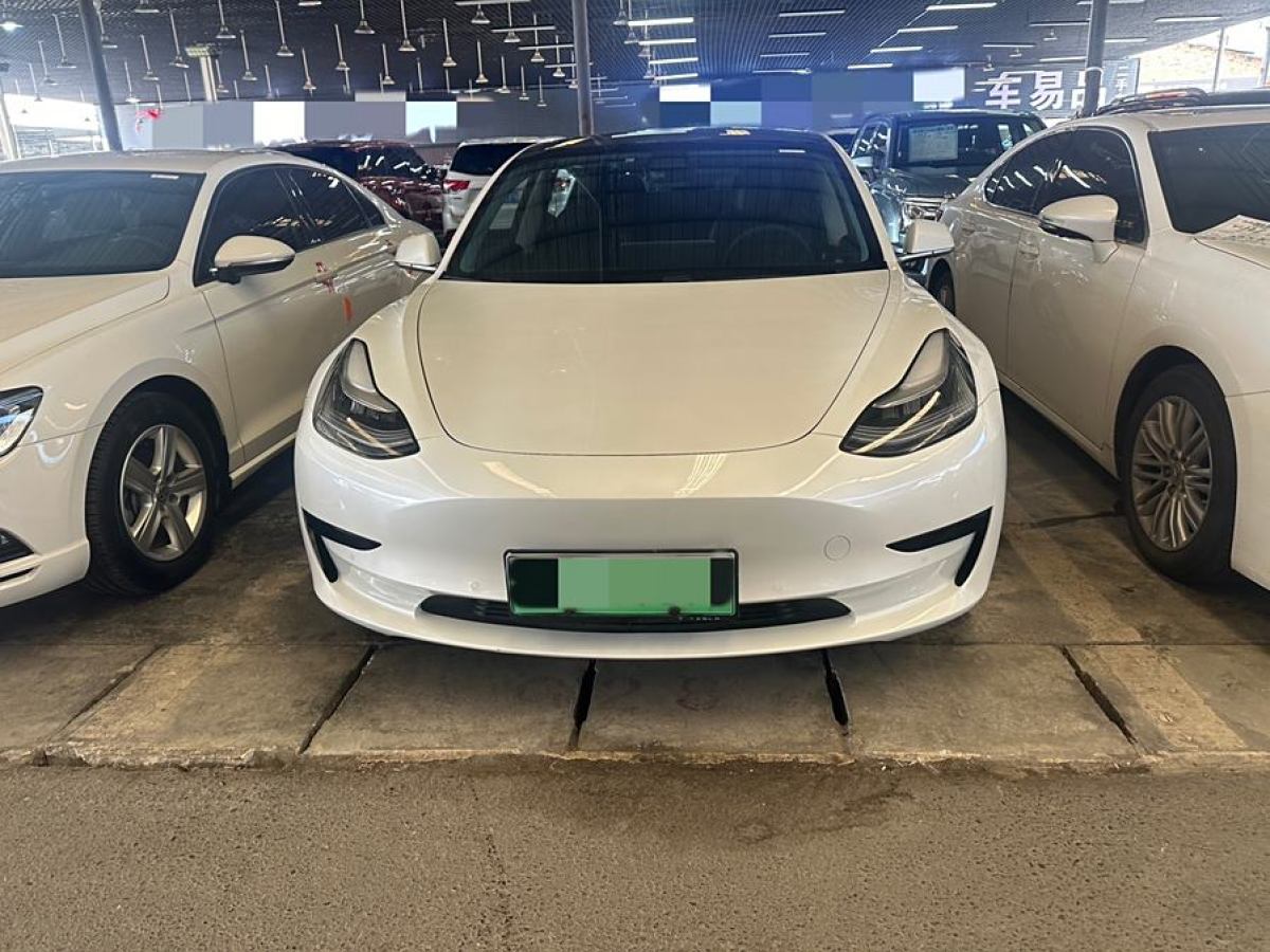 特斯拉 Model 3  2019款 標(biāo)準(zhǔn)續(xù)航后驅(qū)升級版圖片