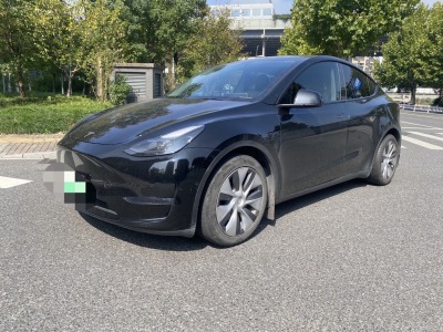 2021年09月 特斯拉 Model Y 改款 標(biāo)準(zhǔn)續(xù)航后驅(qū)升級版圖片