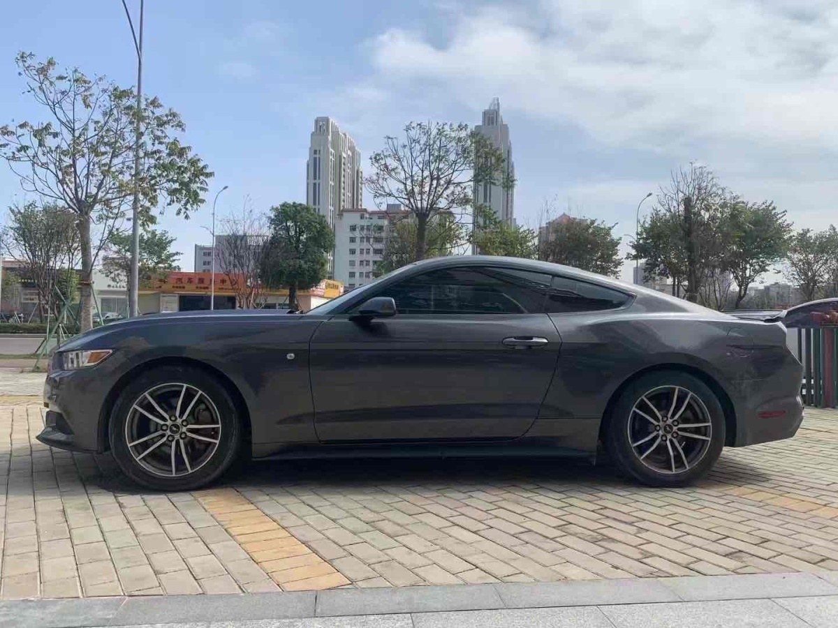 福特 Mustang  2016款 2.3T 性能版圖片