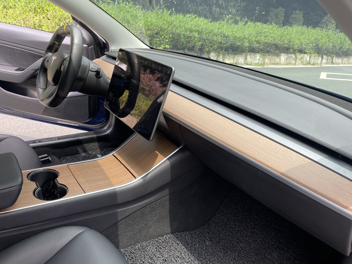 2019年4月特斯拉 Model 3  2019款 長續(xù)航后驅(qū)版
