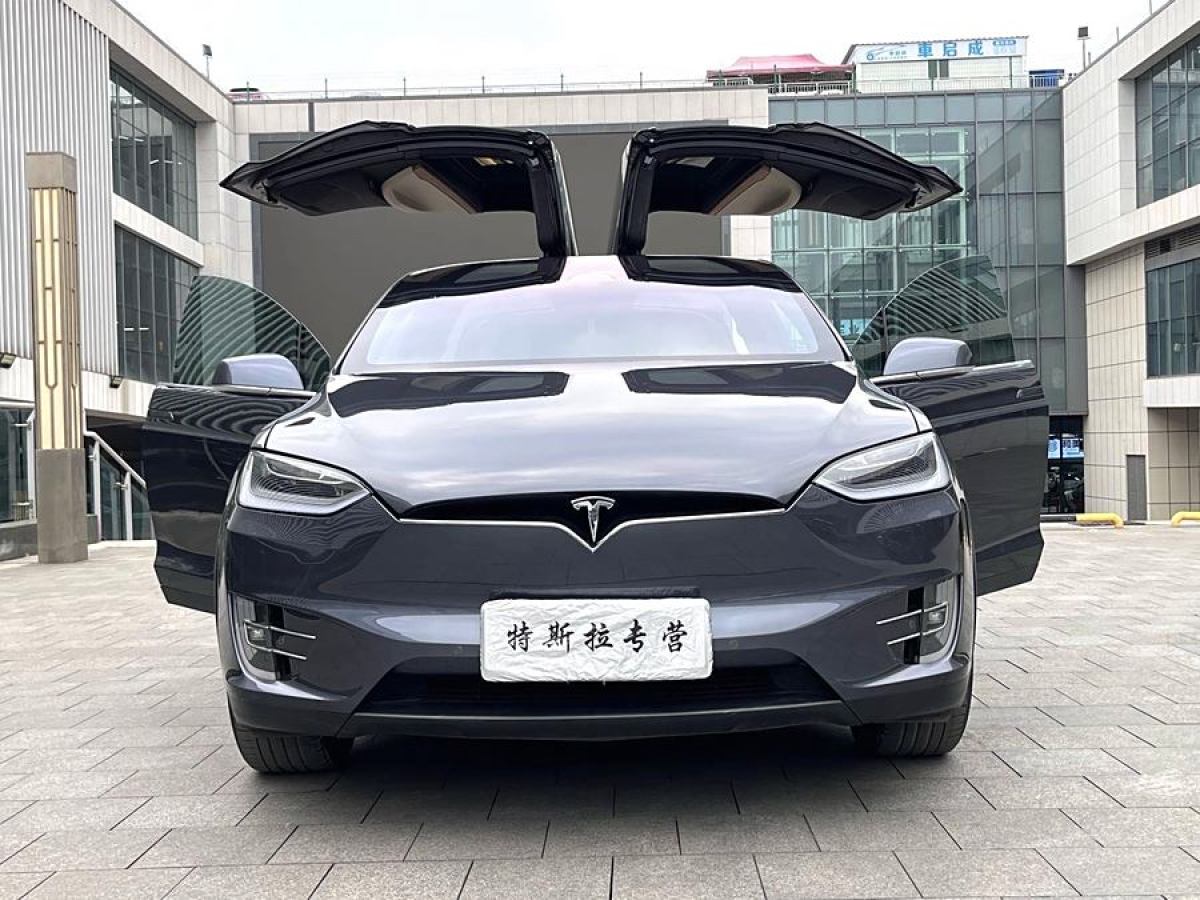 特斯拉 Model X  2019款 長續(xù)航版圖片