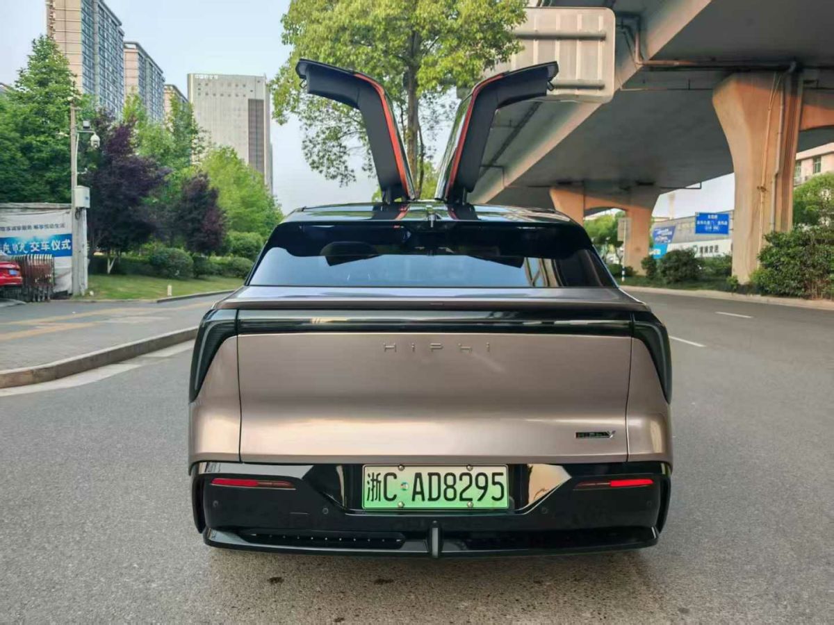 高合 高合HiPhi Y  2023款 560km 先鋒版圖片