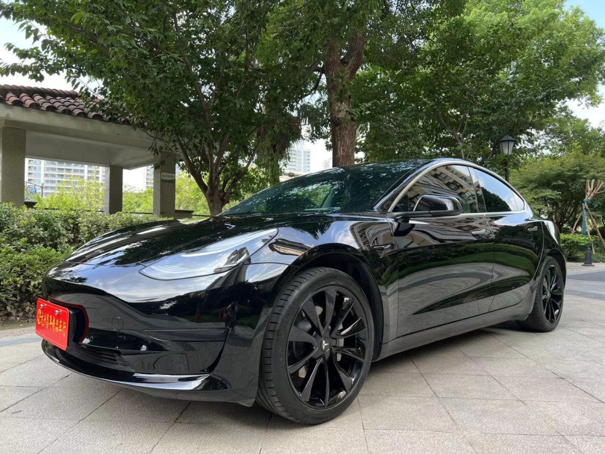 特斯拉 model 3 2019款 標準續航後驅升級版圖片