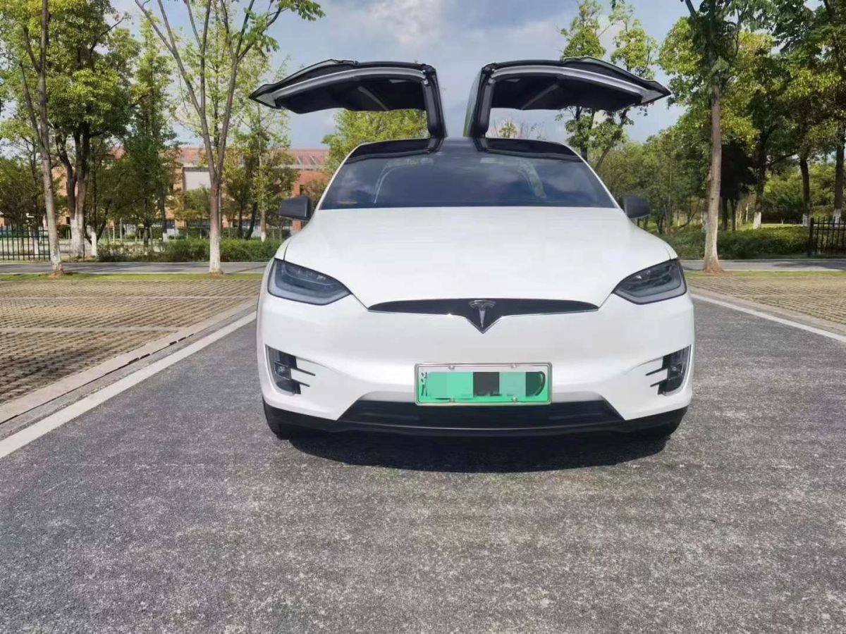 特斯拉 model x 2020款 performance 高性能版圖片