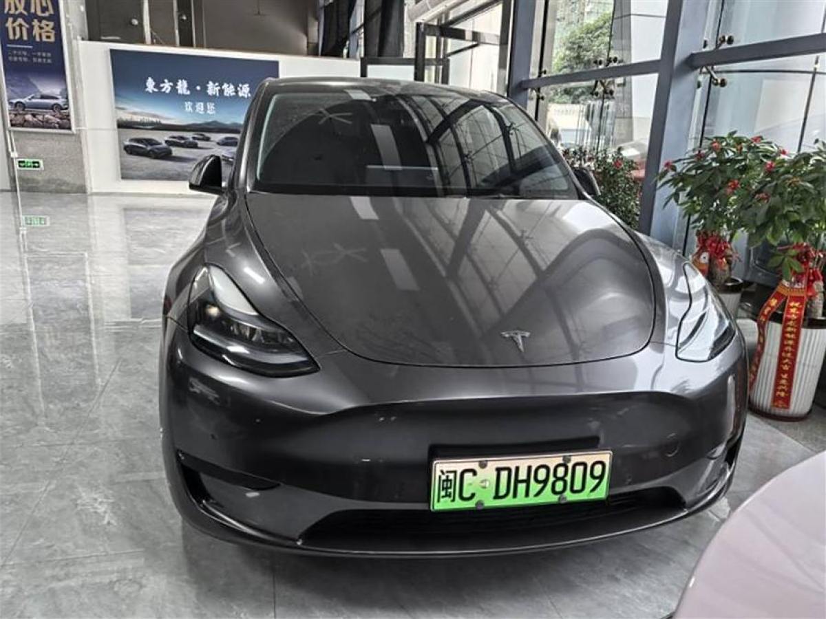 特斯拉 Model 3  2020款 改款 長續(xù)航后輪驅(qū)動版圖片