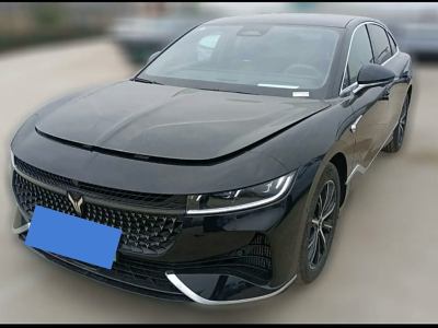 2024年2月 嵐圖 嵐圖追光 PHEV 四驅(qū)超長續(xù)航行政版圖片