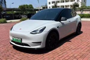 Model Y 特斯拉 Performance高性能全輪驅(qū)動(dòng)版