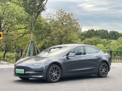 2019年11月 特斯拉 Model 3 标准续航后驱升级版图片