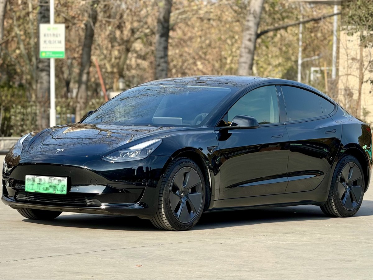 特斯拉 Model 3  2019款 標(biāo)準(zhǔn)續(xù)航后驅(qū)升級版圖片