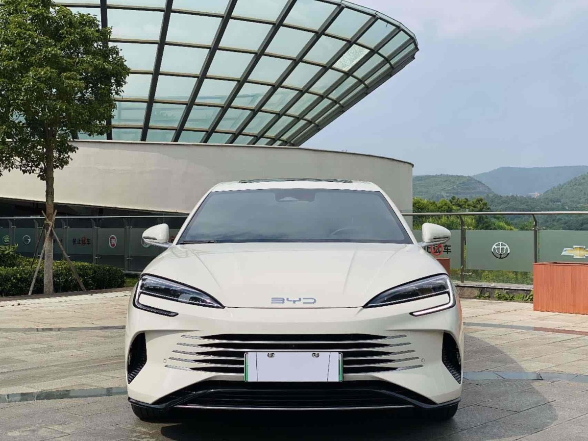 比亚迪 海豹  2024款 荣耀版 DM-i 1.5L 121km 尊贵型图片