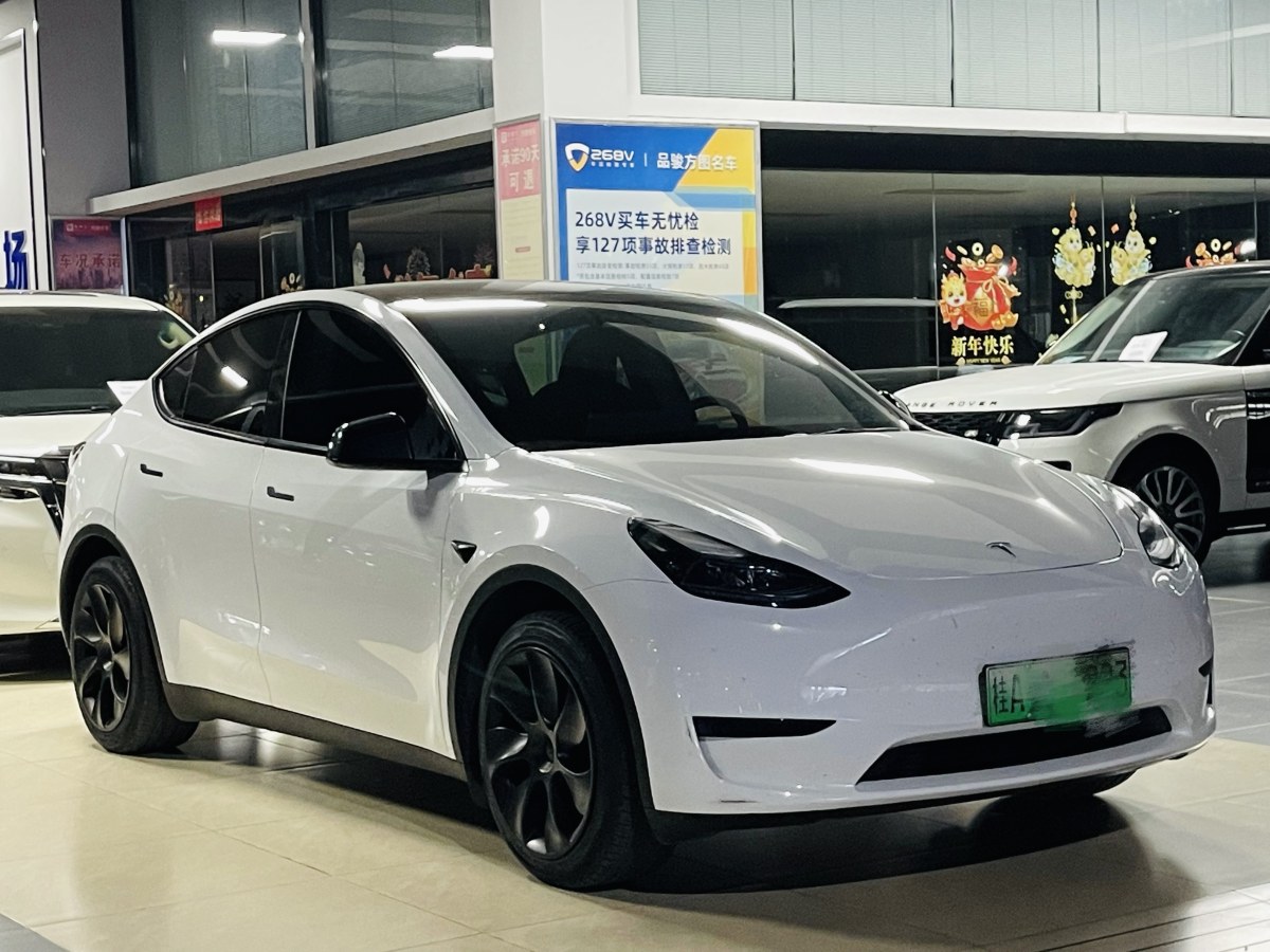 特斯拉 Model 3  2020款 改款 長續(xù)航后輪驅(qū)動版圖片