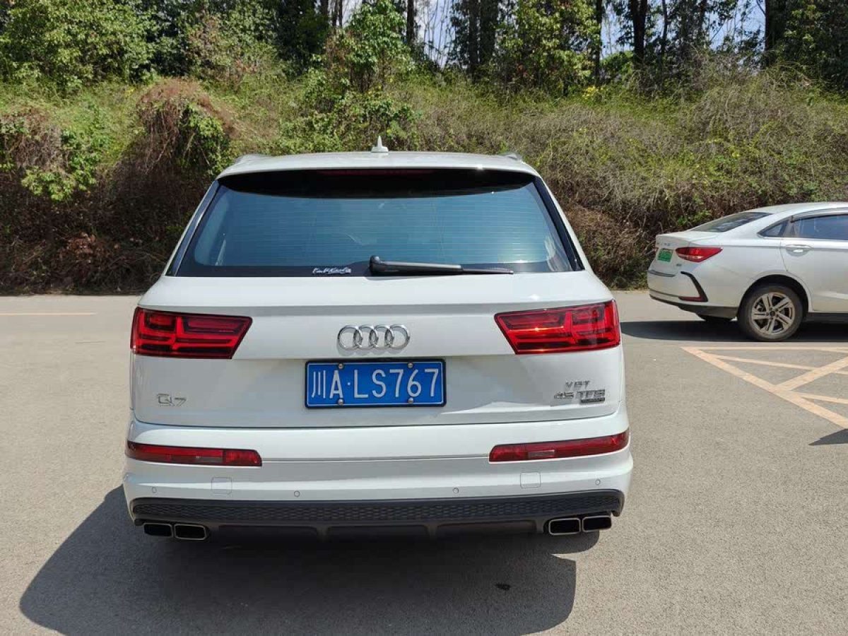 奧迪 奧迪Q7  2018款 45 TFSI 技術(shù)型圖片