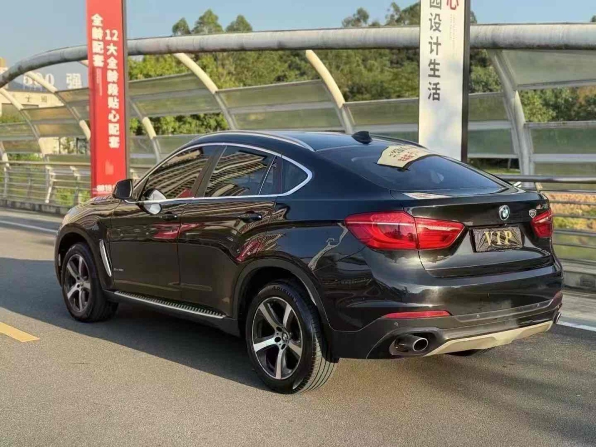 寶馬 寶馬X6  2017款 xDrive35i 領(lǐng)先型圖片