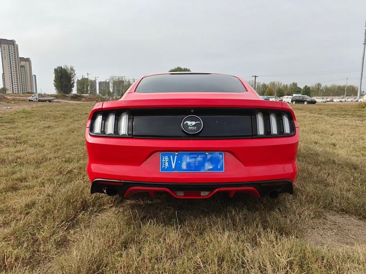 福特 Mustang  2015款 2.3T 50周年紀念版圖片