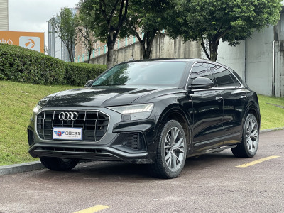 2024年6月 奧迪 奧迪Q8(進口) 55 TFSI 豪華動感型圖片