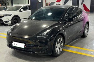 Model Y 特斯拉 改款 長(zhǎng)續(xù)航全輪驅(qū)動(dòng)版