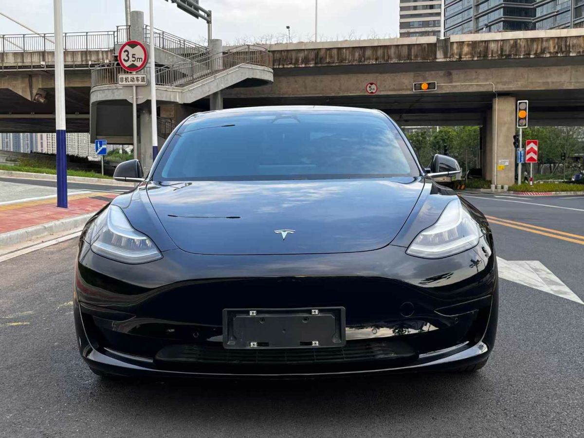 2020年1月特斯拉 Model Y  2020款 標準續(xù)航后驅升級版