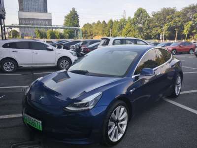 2020年06月 特斯拉 Model 3  标准续航后驱升级版图片